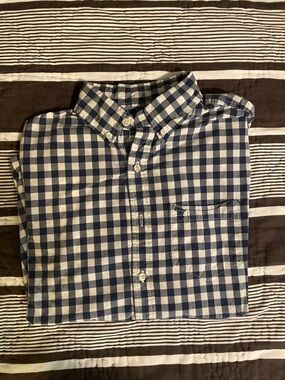 American Eagle Outfitters Navy and White Gingham Button-Down Shirt